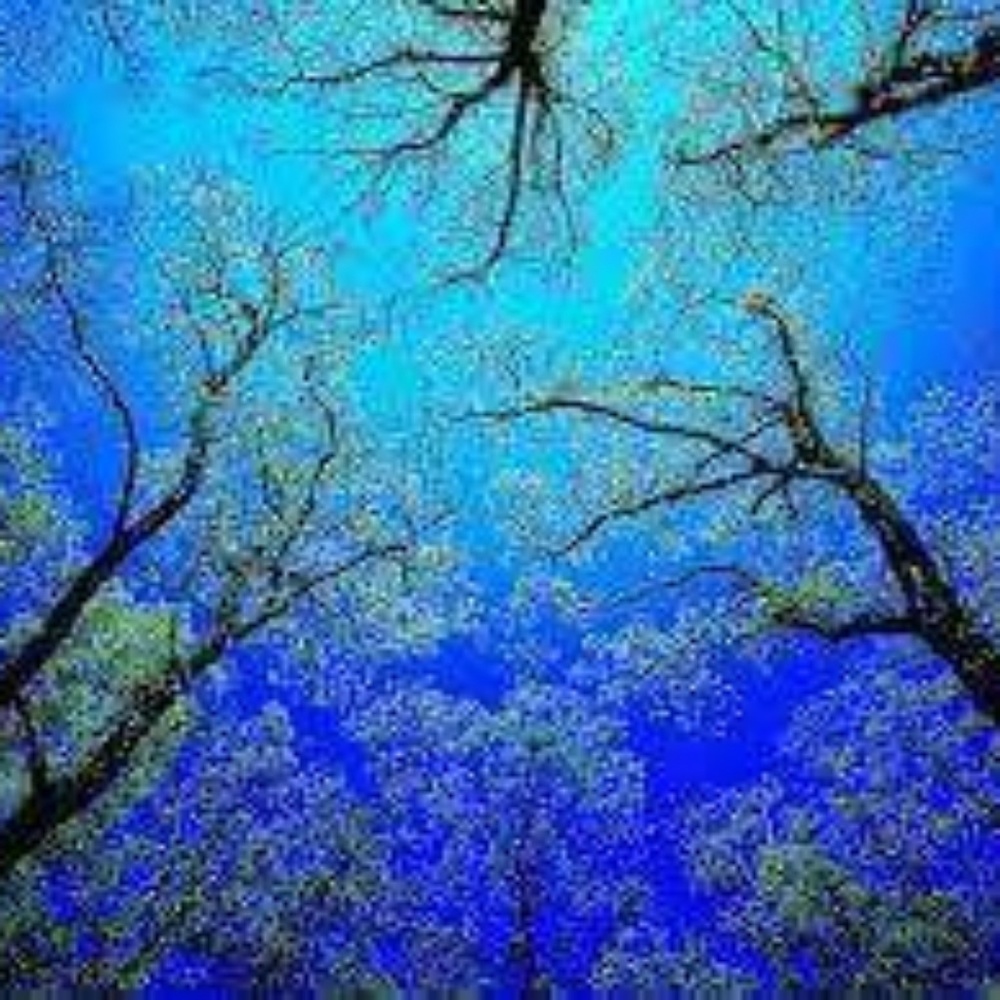 Meet your Posher, Ale