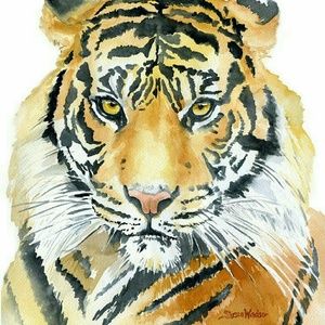 Meet your Posher, Gayle