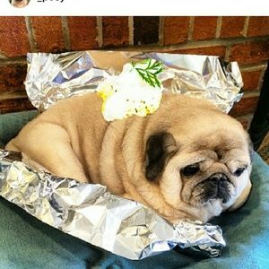 Meet your Posher, Mtxz