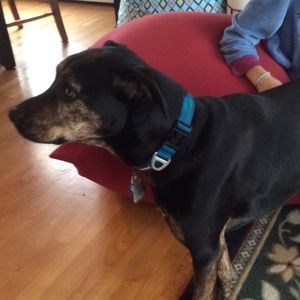 Meet your Posher, Sue