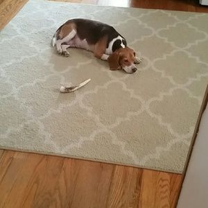 Meet your Posher, Jesse