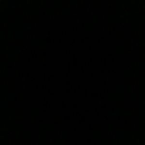 Meet your Posher, Darnell