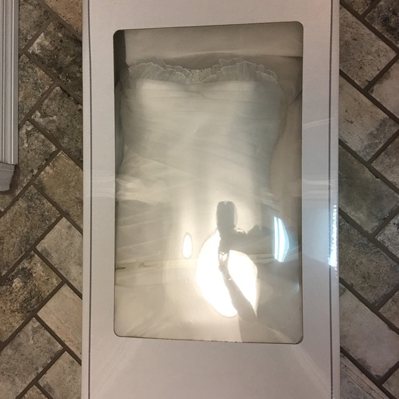 Oleg Cassini Wedding Dress - Picture 4 of 8