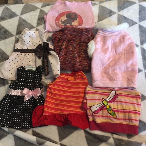 Assortment of dog clothes