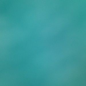 Meet your Posher, Siena