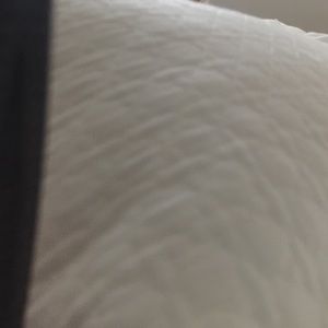 Meet your Posher, Daisy