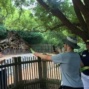 Meet your Posher, Christopher