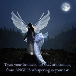 Meet your Posher, Wanda