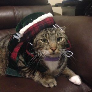 Meet your Posher, Veronica