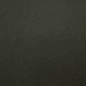 Meet your Posher, Francis