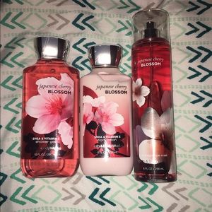 bath and body works japanese cherry blossom bundle