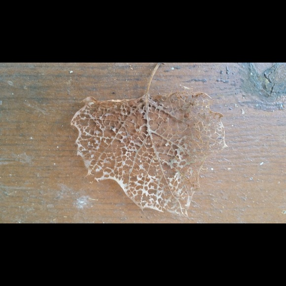 Meet your Posher, Cheryl - Picture 8 of 8