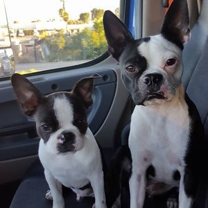 Meet your Posher, Neva