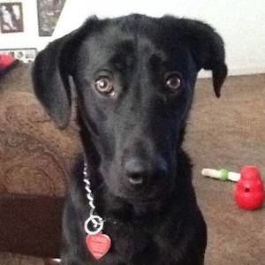 Meet your Posher, Roberta