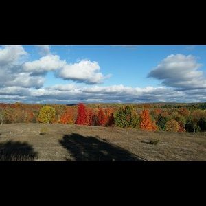 Meet your Posher, Jill