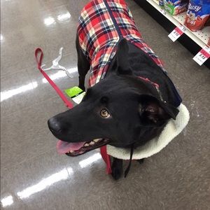 Meet your Posher, Andy