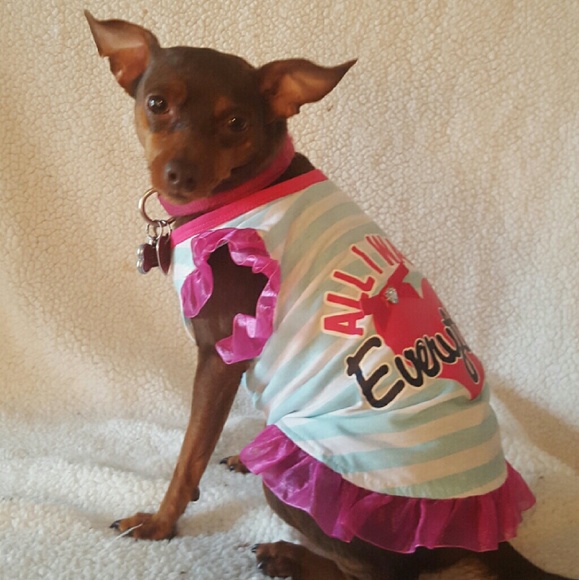 Meet your Posher, Christina - Picture 1 of 1