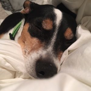 Meet your Posher, Elizabeth