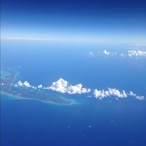 Meet your Posher, Damaris