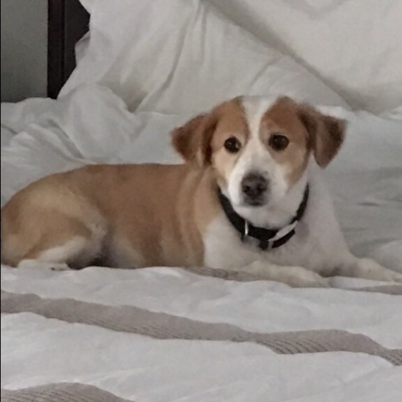 Meet your Posher, Lisa - Picture 2 of 3