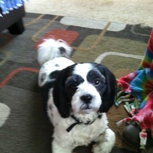 Meet your Posher, Deb