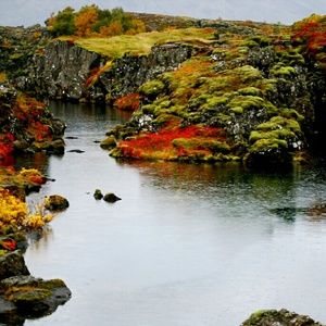 Meet your Posher, Bethany