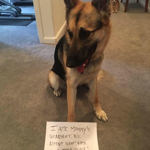 Meet your Posher, Jaime