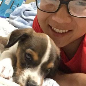 Meet your Posher, Daniel