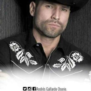 Meet your Posher, Mona