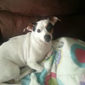 Meet your Posher, Tomika