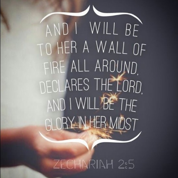 Meet your Posher, Brette - Picture 1 of 1