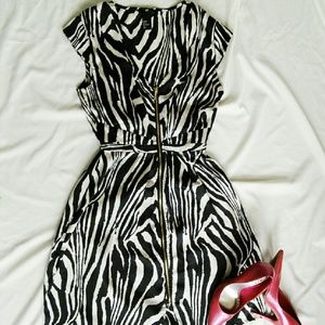 H & M Zebra Print (Black and White)  Dress