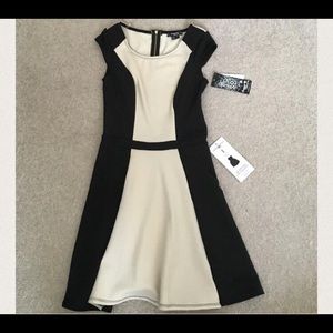 Brand new Skater dress