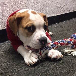 Meet your Posher, Christopher