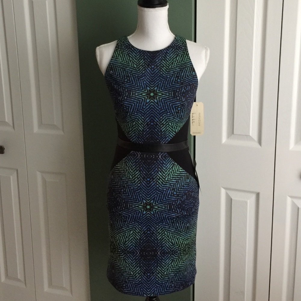 NWT Nicole Miller Artelier dress
