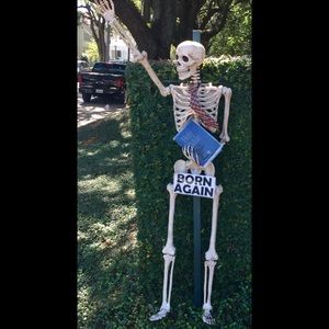 Meet your Posher, Dawn