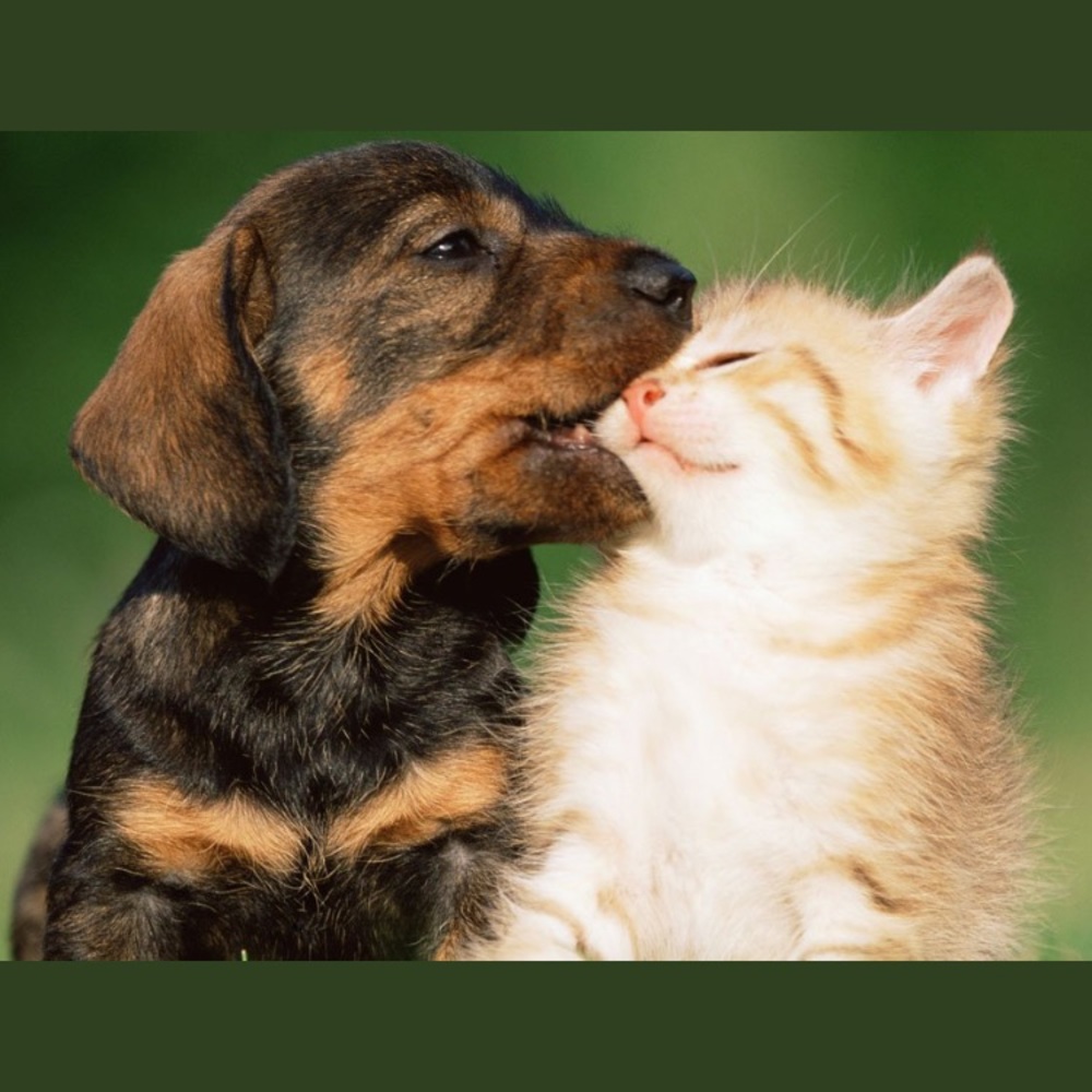 Meet your Posher, Patrice