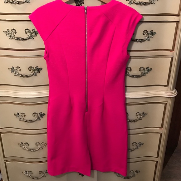 The Limited pink shift dress - Picture 3 of 4