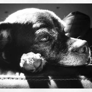 Meet your Posher, Jeff