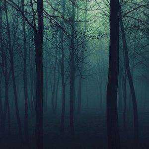 Meet your Posher, Marco