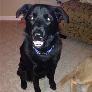 Meet your Posher, Gretchen