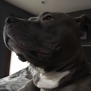 Meet your Posher, Danielly