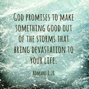 Meet your Posher, Larina