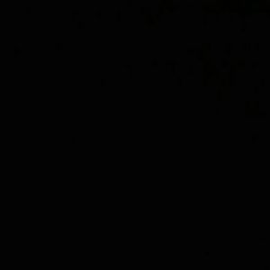 Meet your Posher, Cornelius