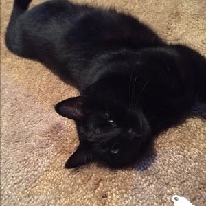 Meet your Posher, Traci