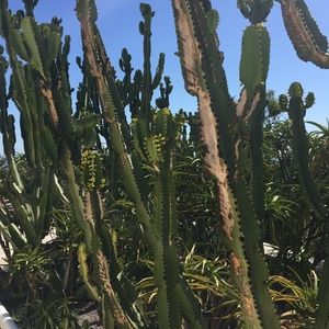 Meet your Posher, Nina