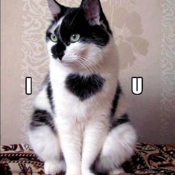 Meet your Posher, Peter