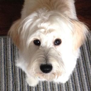 Meet your Posher, Beverly