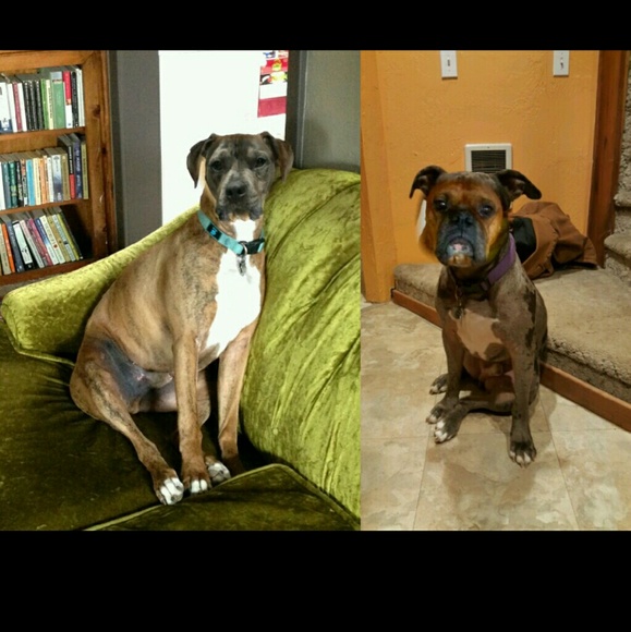 Meet your Posher, Jamie