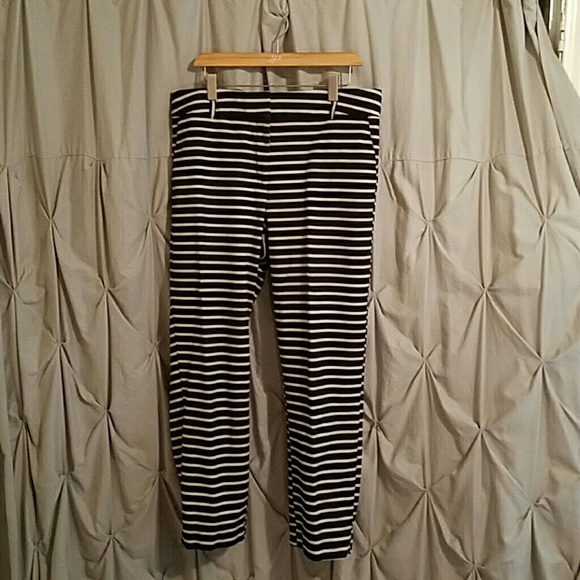 Ann Taylor loft striped pants TALL